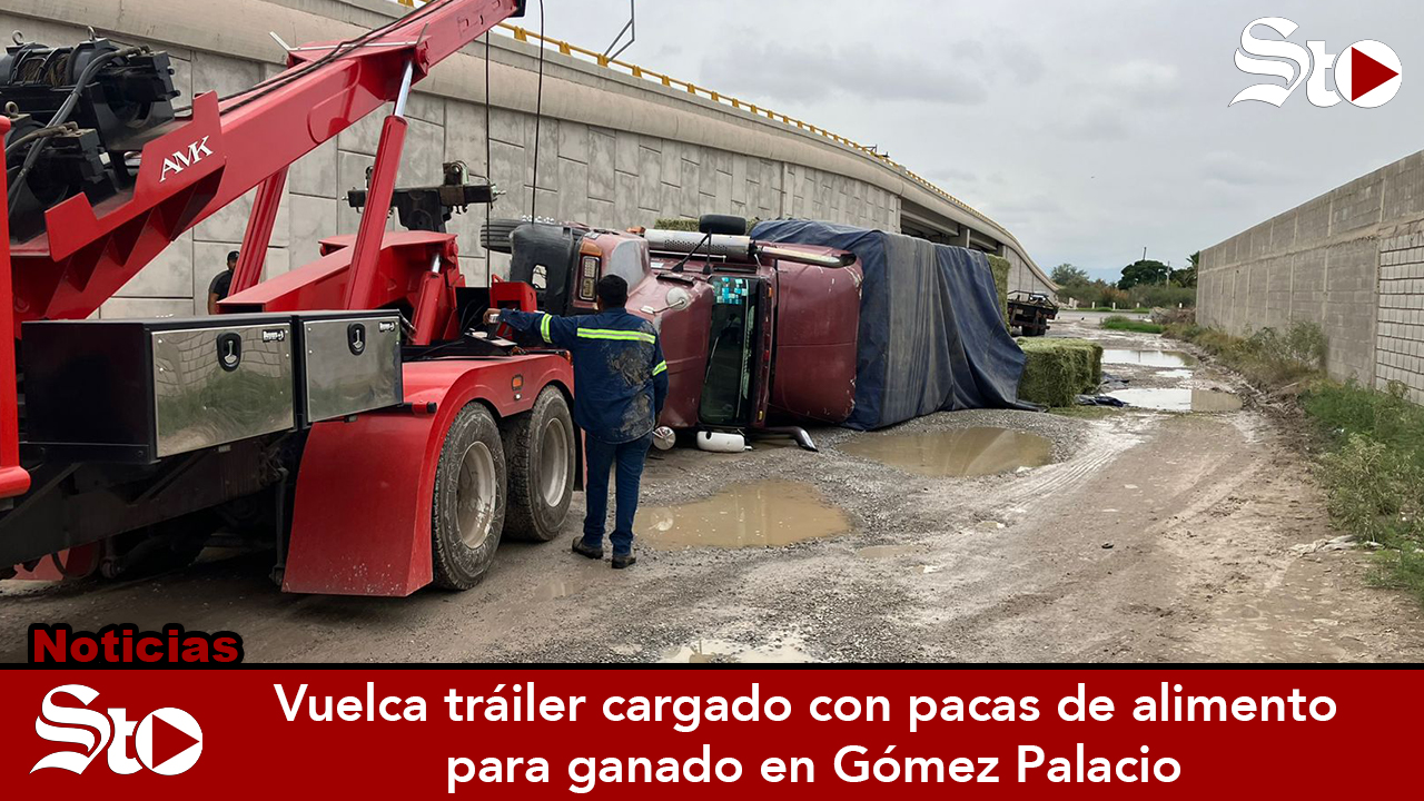 Vuelca Tr Iler Cargado Con Pacas De Alimento Para Ganado En G Mez Palacio